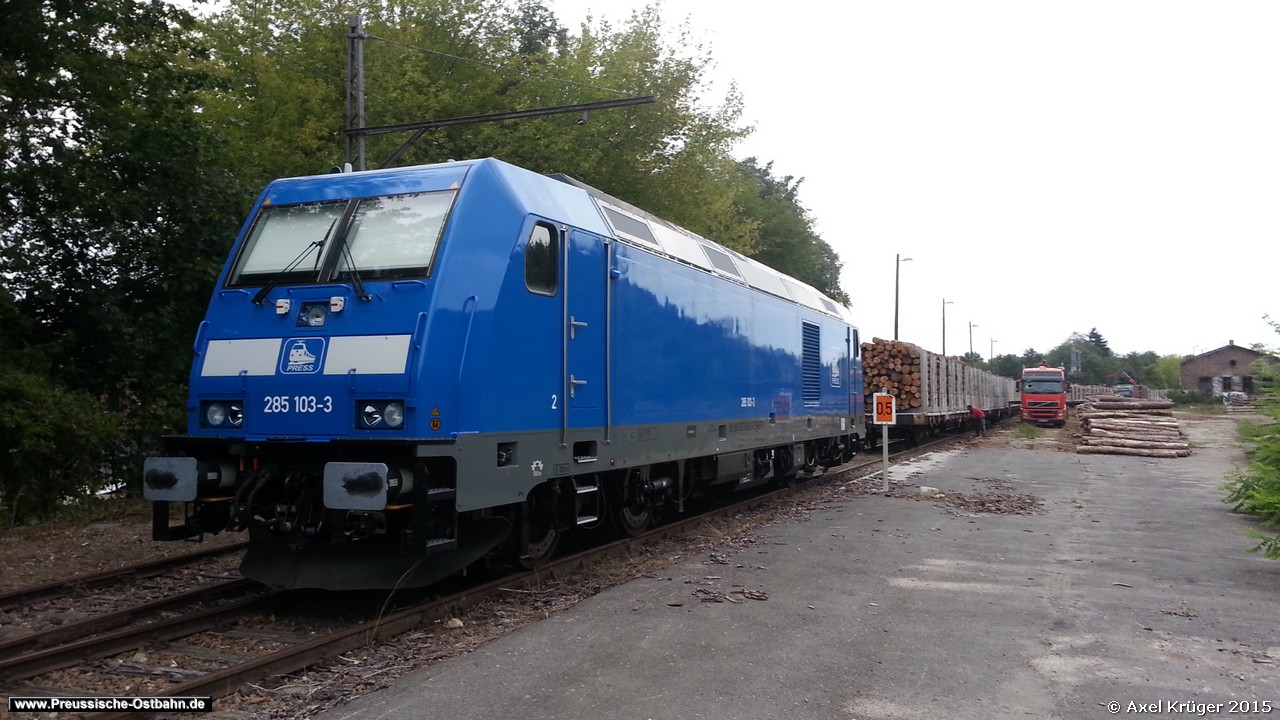 Lok 258 103-3 der Pressnitztalbahn mbH in Müncheberg mit Holz Güterzug